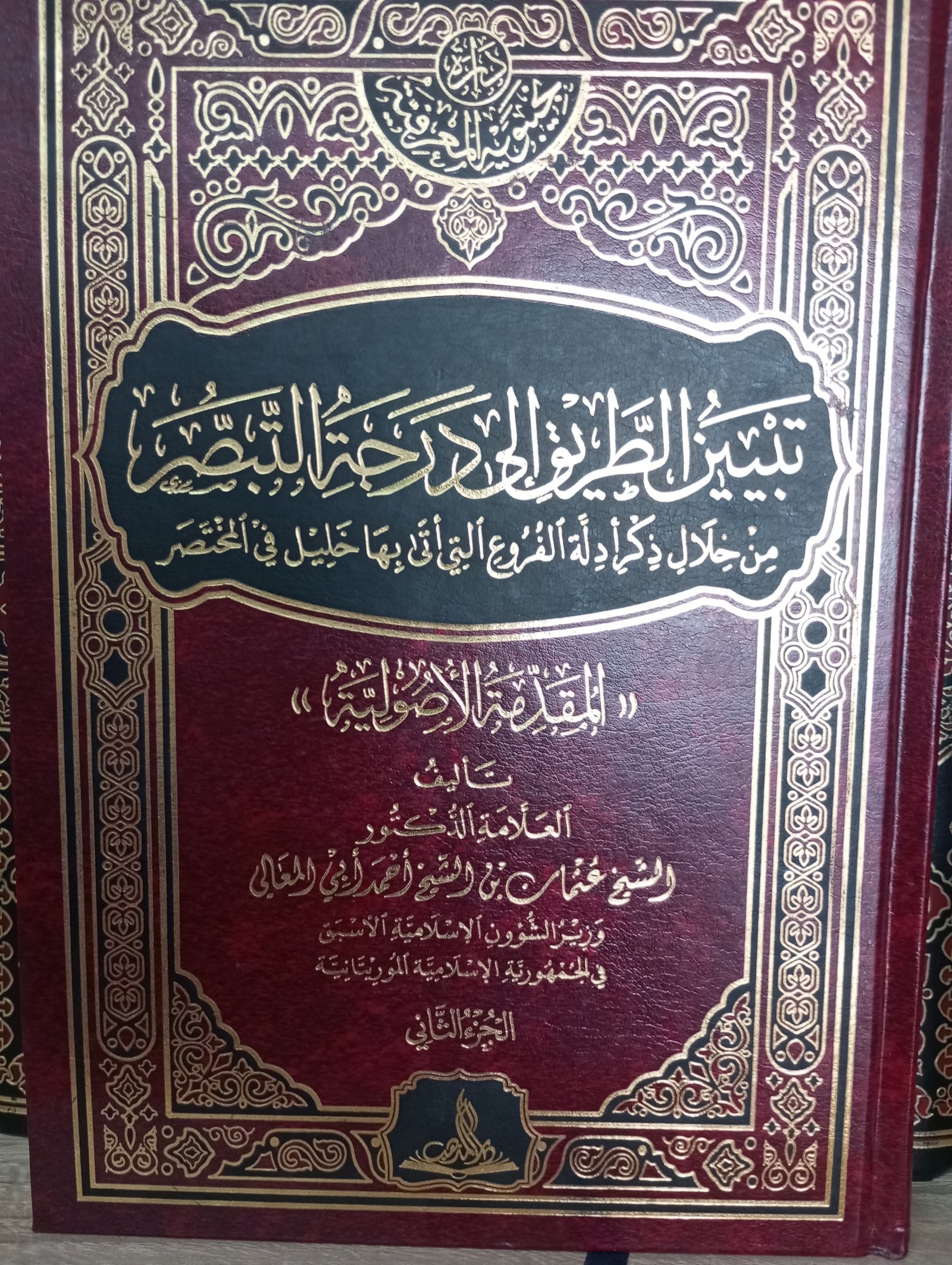 تبيين الطريق إلى درجة التبصر (من خلال ذكر أدلة الفروع التي أتى بها خليل في المختصر) [المقدمة الأصولية] ج2