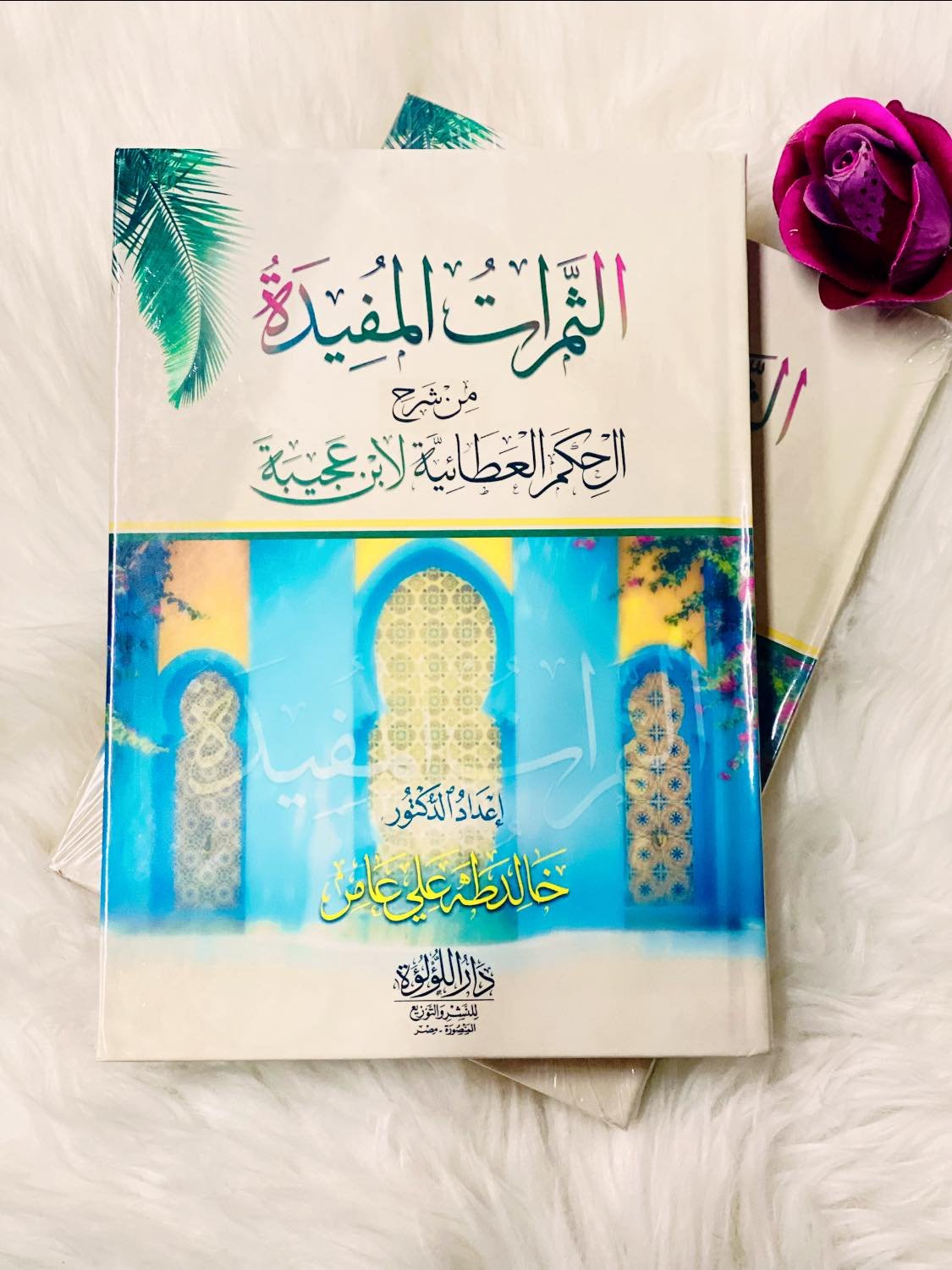 الثمرات المفيدة من شرح الحكم العطائية