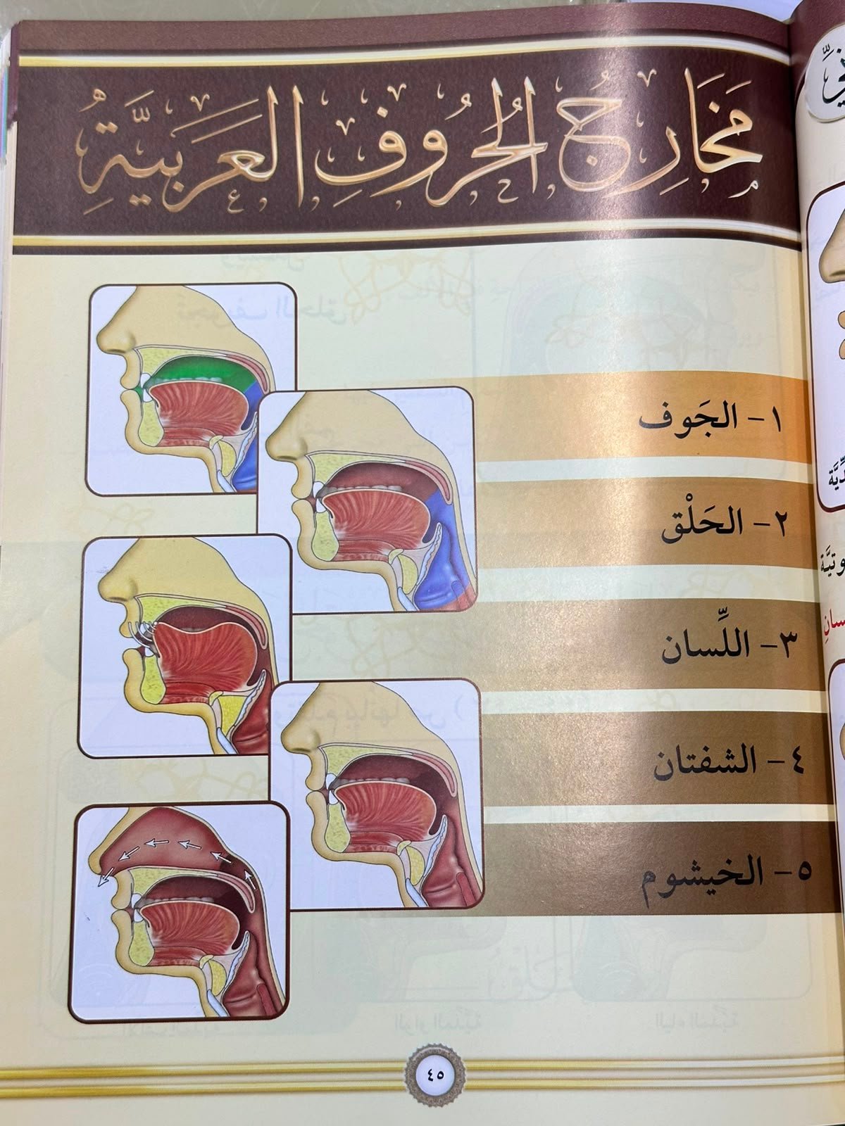 التجويد المصور(طبعة جديدة)