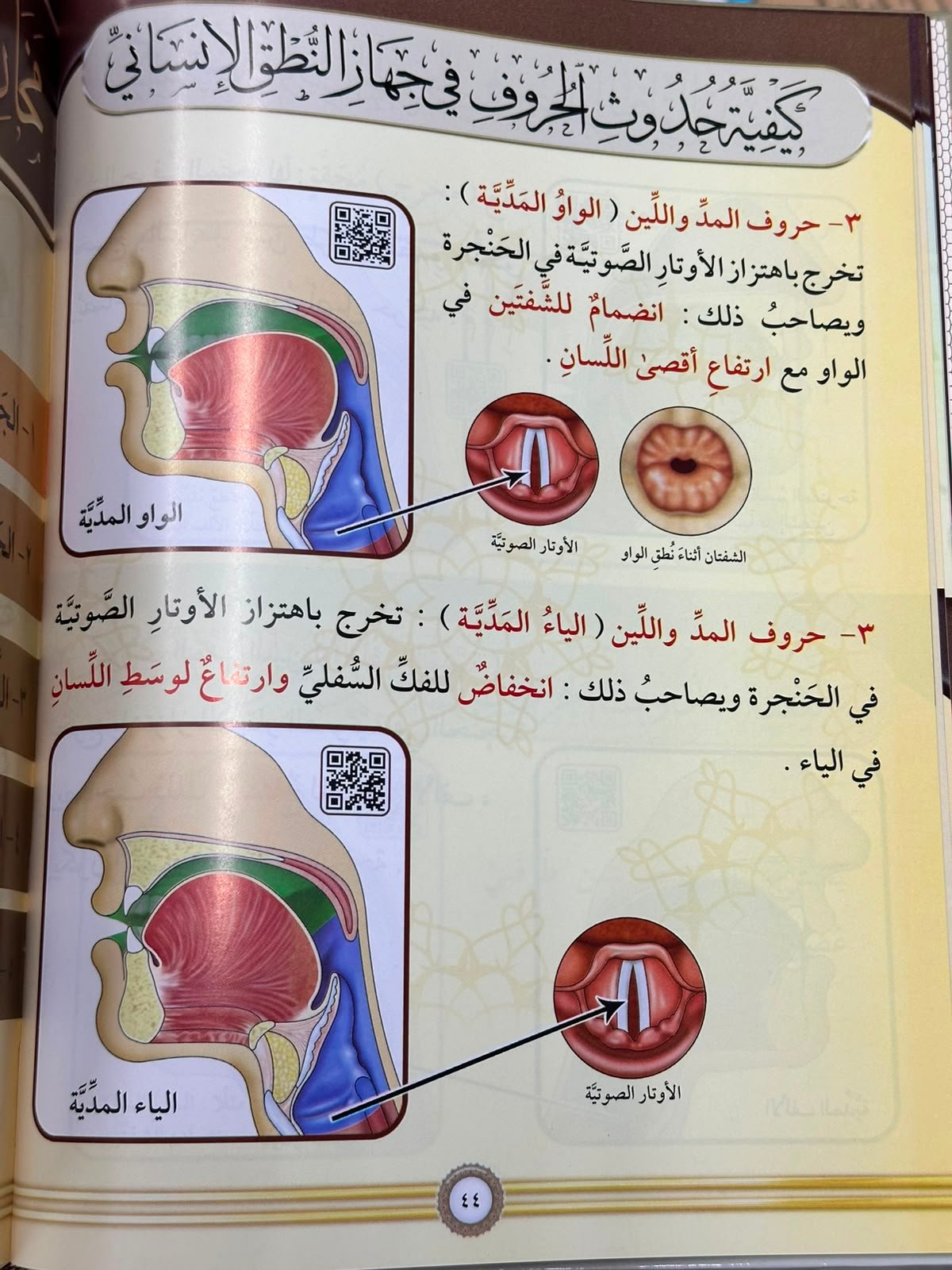 التجويد المصور(طبعة جديدة)